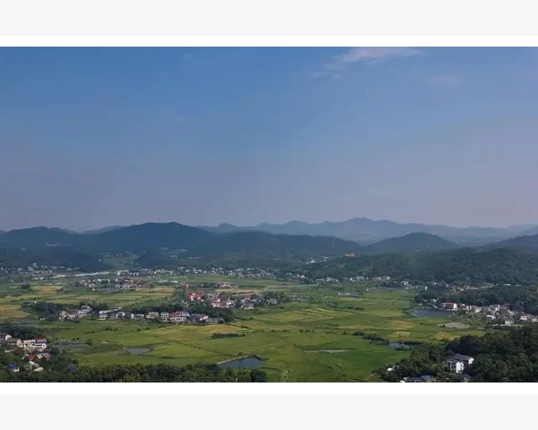 智利B2B市场开拓实战要点_平台选择的实战心法与避坑建议