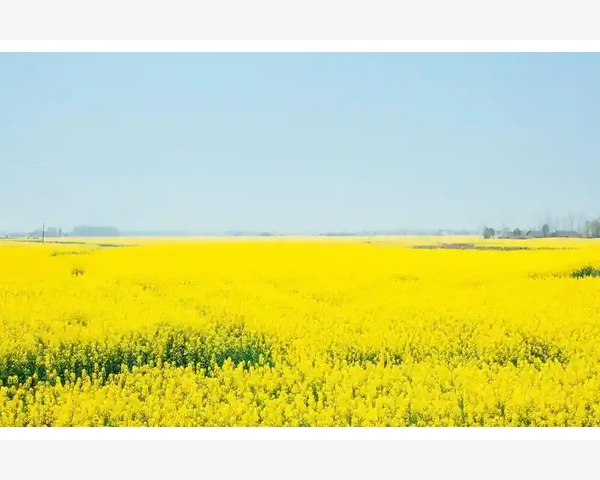 B2B登录全流程实操详解与常见问题解决_B2B登录全流程实操详解与常见问题解决_1