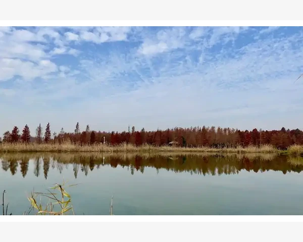 自动焊线机头核心操作与日常保养技巧_开通亚马逊B2B功能的前提条件