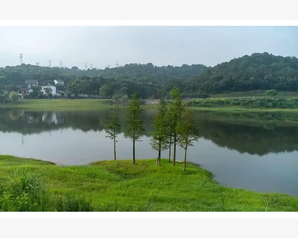 MT4电脑版一键设置常用功能快捷键实操_先搞懂MT4快捷键的基本逻辑