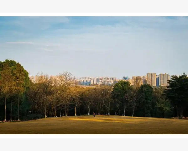 能源B2B交易平台如何打通上下游链路_提升曝光与促成交易的方法
