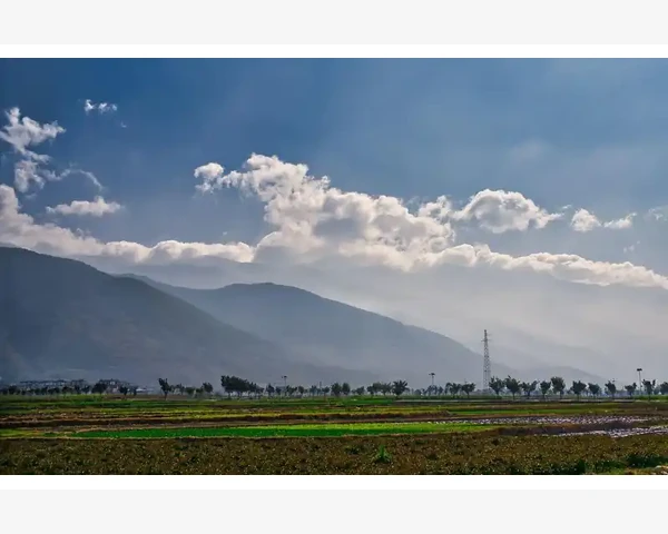个人创业者搭建B2B网站的可行路径_未来绿植B2b平台的进化方向
