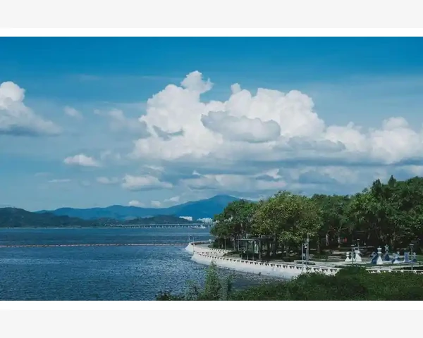 B2B升级转型企业增长新引擎_日常操作中的常见问题与应对方法
