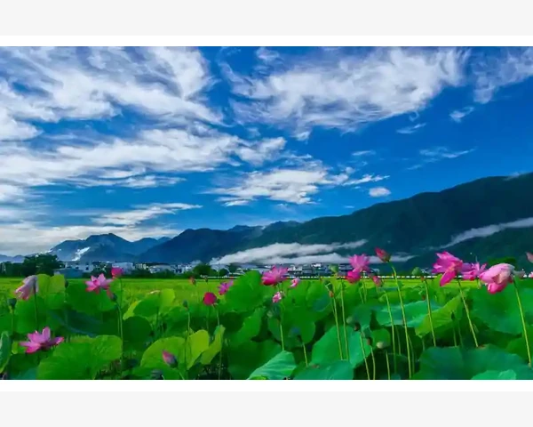 农资行业B2B能否打通产销直通链条_选择B2B网站时的实用考量因素