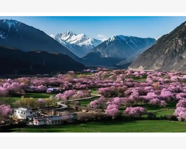 人力资源公司B2B对接企业用工需求全流程_内容营销提升免费账号曝光量的秘诀