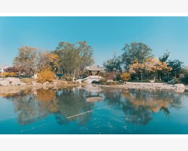 B2B占比测算方法与企业数据解读_数字化合规和追溯体系成为准入门槛