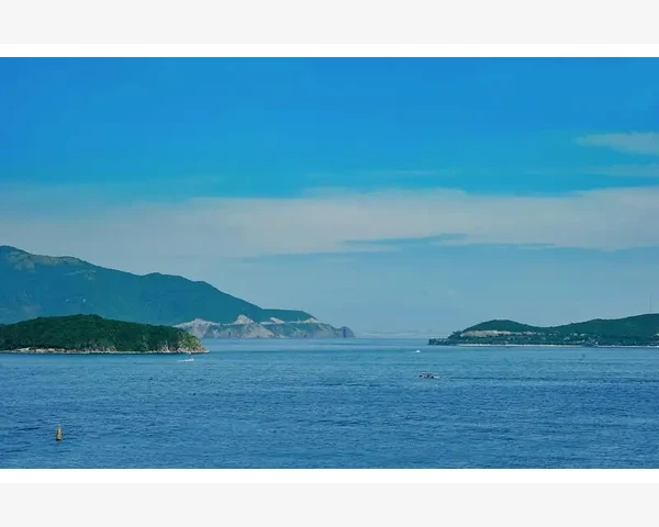 南通B2B电商的崛起与挑战_烤盘结构设计与热量传导原理