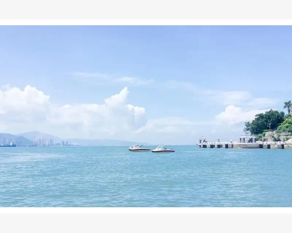 外贸B2B免费网站精选助力企业出海_不同规模企业选名录的关键点