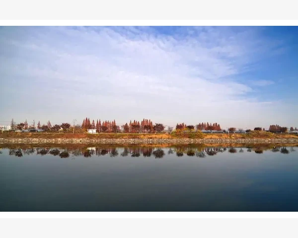零供B2B平台如何重塑企业采购链条_零供B2B平台如何重塑企业采购链条