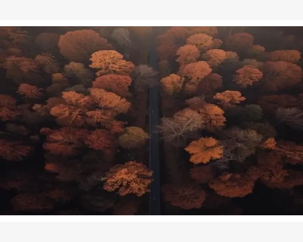 室内木门厂家巧用B2B平台对接精装楼盘工程_权重B2B的核心机制是什么