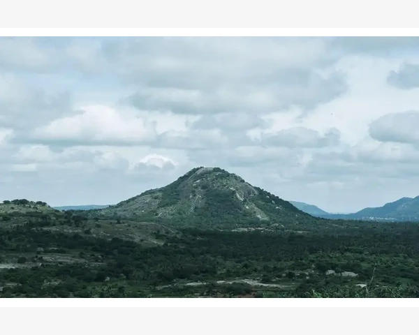 如何高效注册与设置企业账户_B2B架构搭建企业数字化交易骨架